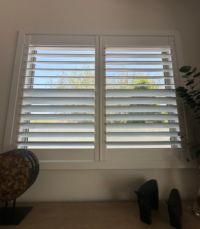 Two-panel Norman shutter with louvers tilted open to a green backyard view